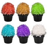 Crystal Cactus Kit (1 PC)