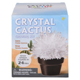 Crystal Cactus Kit (1 PC)