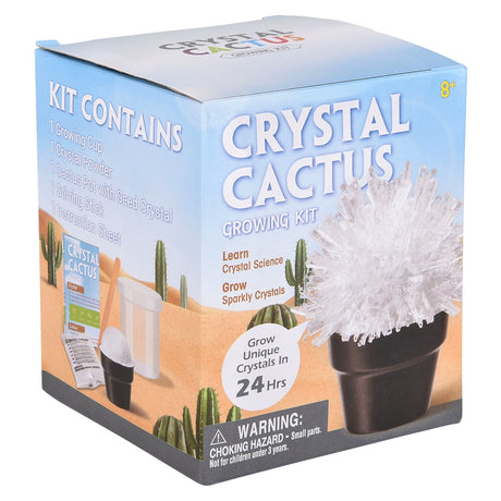 Crystal Cactus Kit (1 PC)