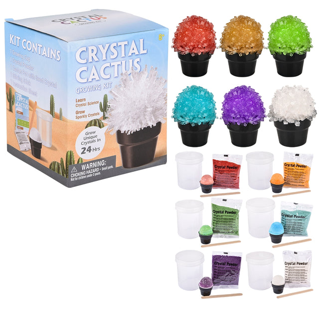Crystal Cactus Kit (1 PC)