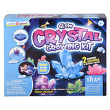 Crystal Growing Kit Science Kit (1 PC)