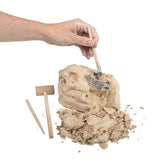Dinosaur Excavation Brachiosaurus Skull Kit