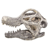 Dinosaur Excavation Brachiosaurus Skull Kit
