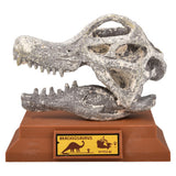 Dinosaur Excavation Brachiosaurus Skull Kit