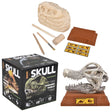 Dinosaur Excavation Brachiosaurus Skull Kit