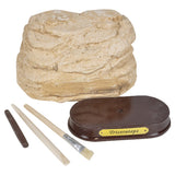 Triceratops Skull Excavation Kit