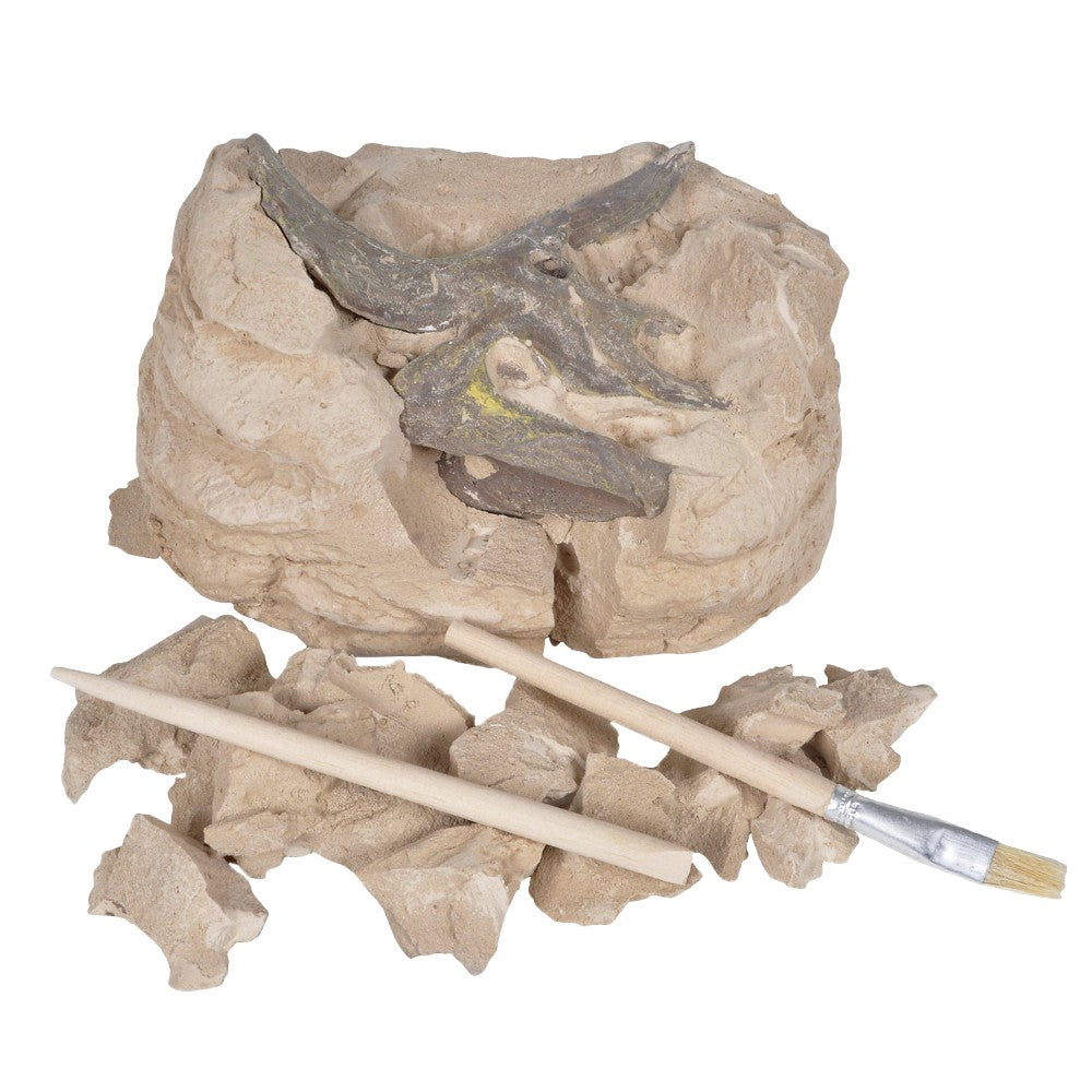 Triceratops Skull Excavation Kit