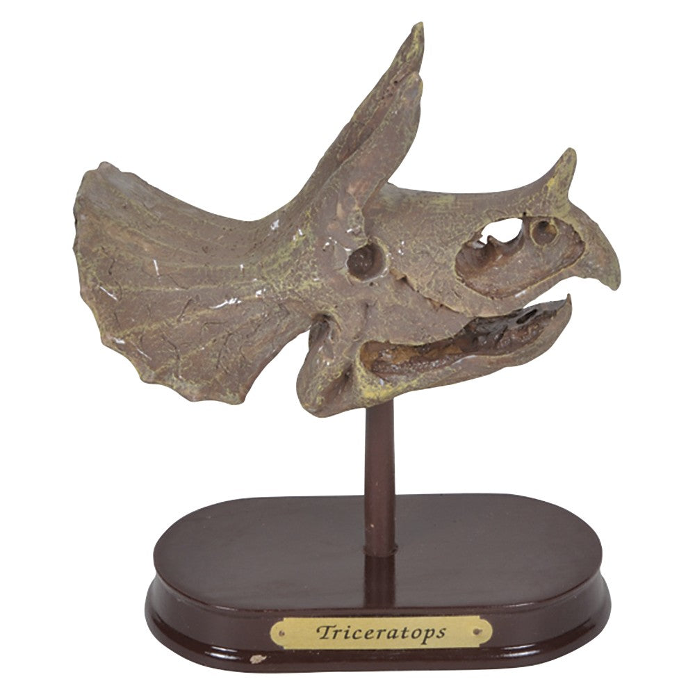 Triceratops Skull Excavation Kit