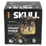 Triceratops Skull Excavation Kit