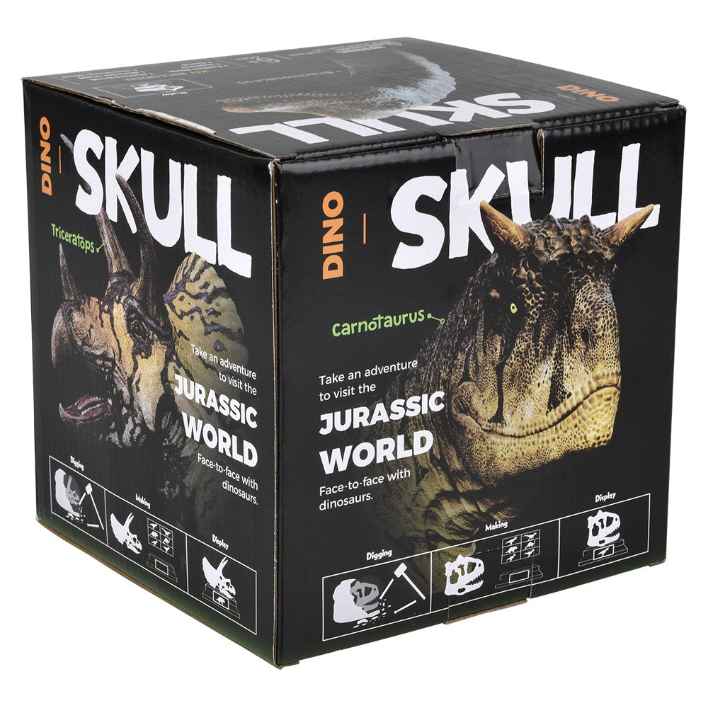 Triceratops Skull Excavation Kit