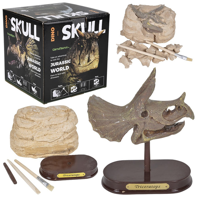 Triceratops Skull Excavation Kit