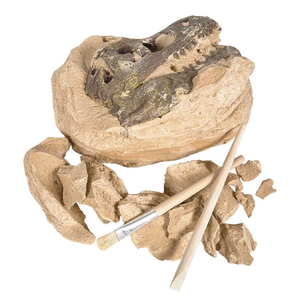 T-Rex Skull Excavation Kit