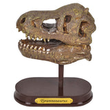 T-Rex Skull Excavation Kit