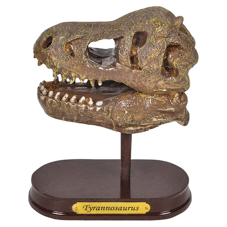 T-Rex Skull Excavation Kit