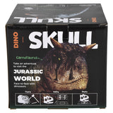 T-Rex Skull Excavation Kit