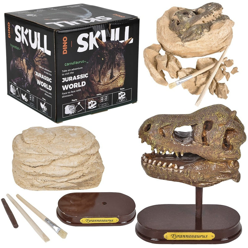 T-Rex Skull Excavation Kit