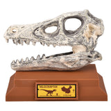 Velociraptor Skull Excavation Kit (1 PC)