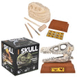 Velociraptor Skull Excavation Kit (1 PC)
