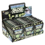 Glow In The Dark Aquatic Stickers 24ct (1 DSP)