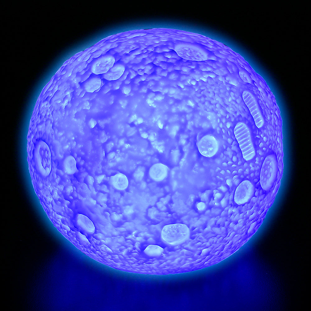 Color Changing Moon Light (1 PC)