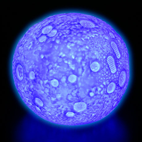 Color Changing Moon Light (1 PC)