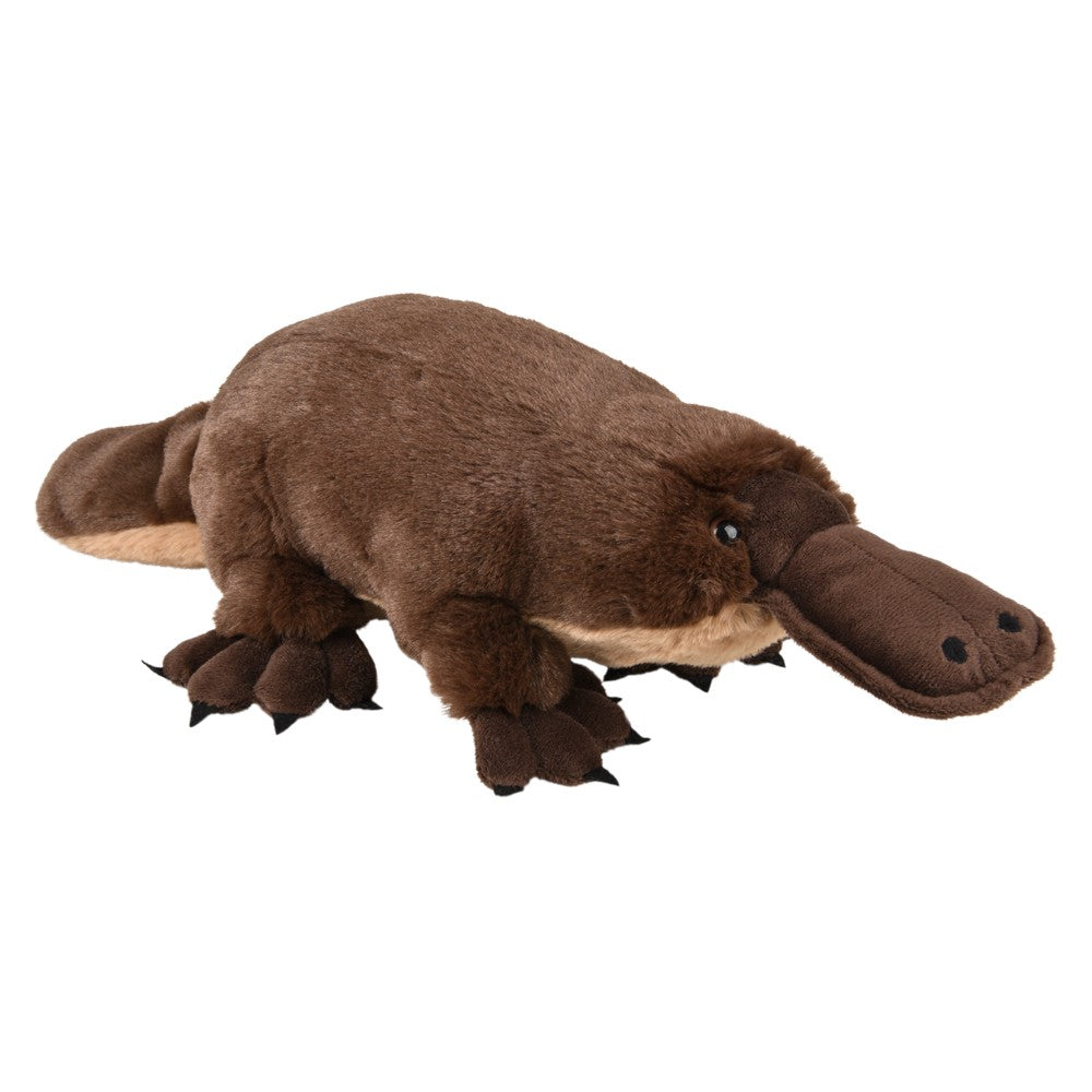 Plush Platypus Stuffed Animal (1 PC)