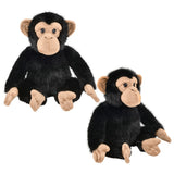Chimpanzee Plush Toy (1 PC)