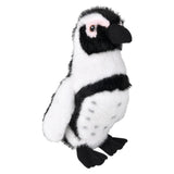 Plush Black Foot Penguin (1 PC)