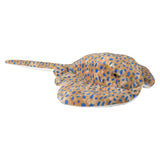 Spotted Ray Plush (1 PC)