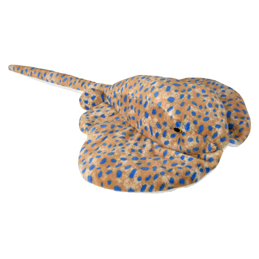 Spotted Ray Plush (1 PC)