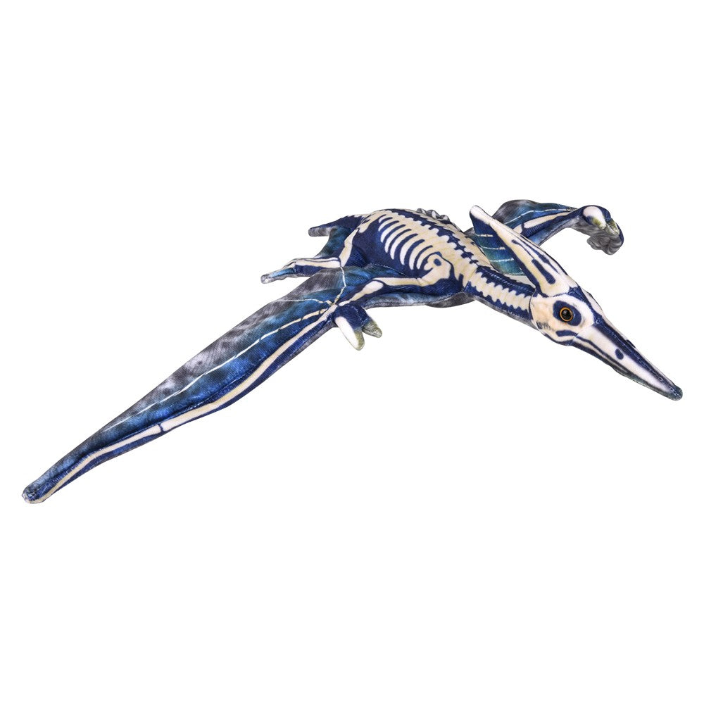 Pterosaur Plush Fossil Print (1 PC)