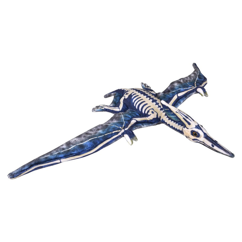 Pterosaur Plush Fossil Print (1 PC)