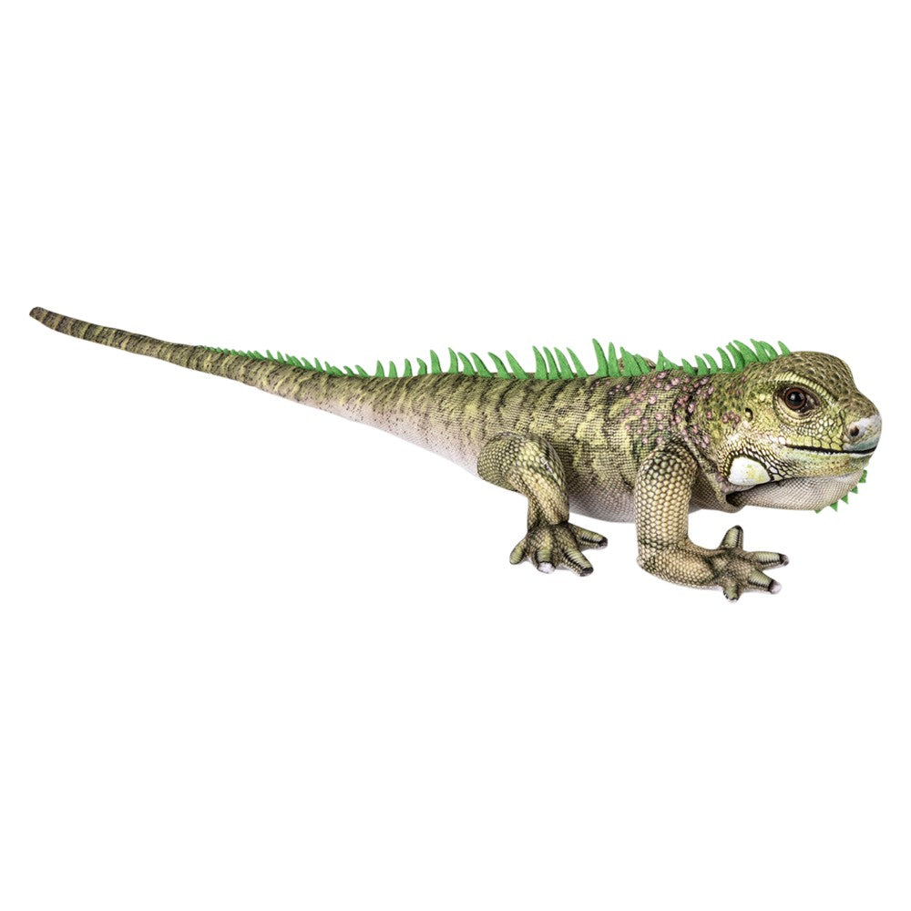 Iguana Plush 19" (1 PC)