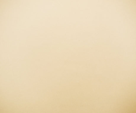 1 Yard Cream Beige Triacetate Poly Crepe Back Satin Fabric Apparel Dressmaking 54 Inches Width