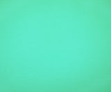 1 Yard Fresh Mint Turquoise Sustainable Cotton Four-Way Stretch Matte Jersey, Soft and Cozy Fabric, 61 Inches Wide