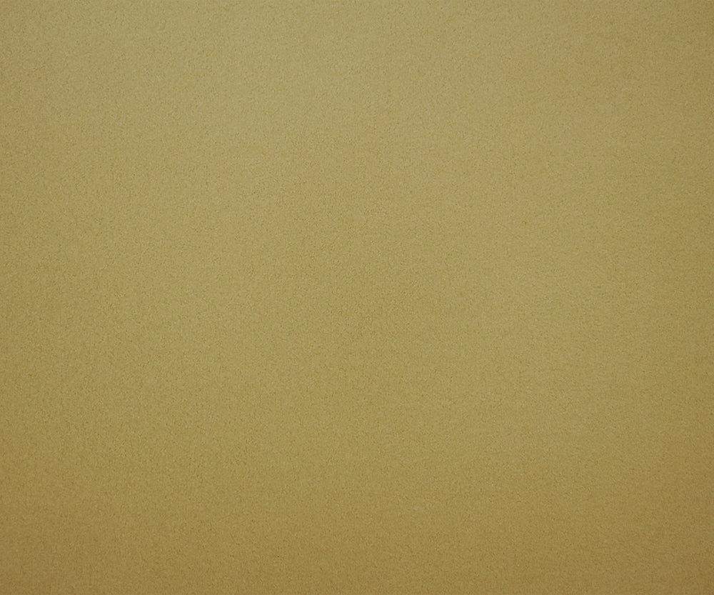 1 Yard Pyramid Beige Polartec Wind Pro Heavy Weight Knit Fabric for Jackets and Outerwear 62 Inches Wide