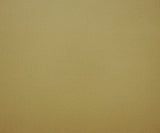 1 Yard Pyramid Beige Polartec Wind Pro Heavy Weight Knit Fabric for Jackets and Outerwear 62 Inches Wide