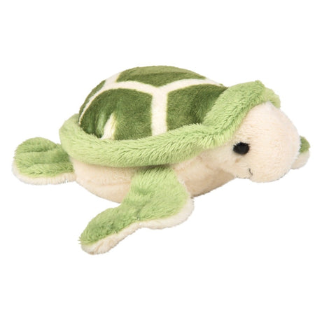 Sea Turtle Beanie Plush (1 PC)