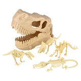 Dinosaur Fossil Skull Set 5pc