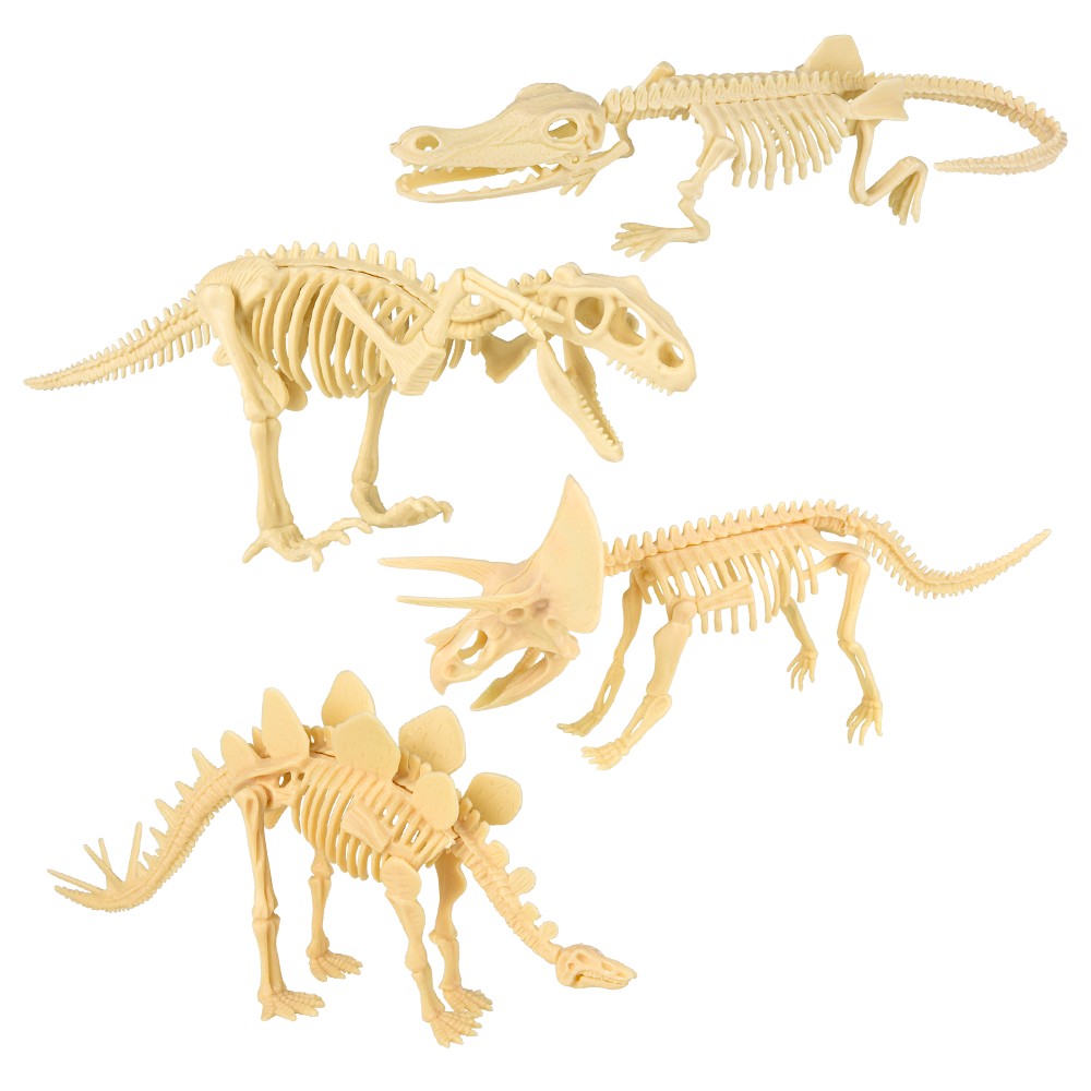 Dinosaur Fossil Skull Set 5pc