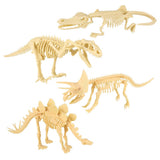 Dinosaur Fossil Skull Set 5pc