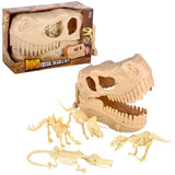 Dinosaur Fossil Skull Set 5pc