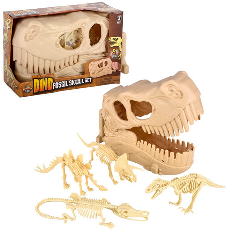Dinosaur Fossil Skull Set 5pc