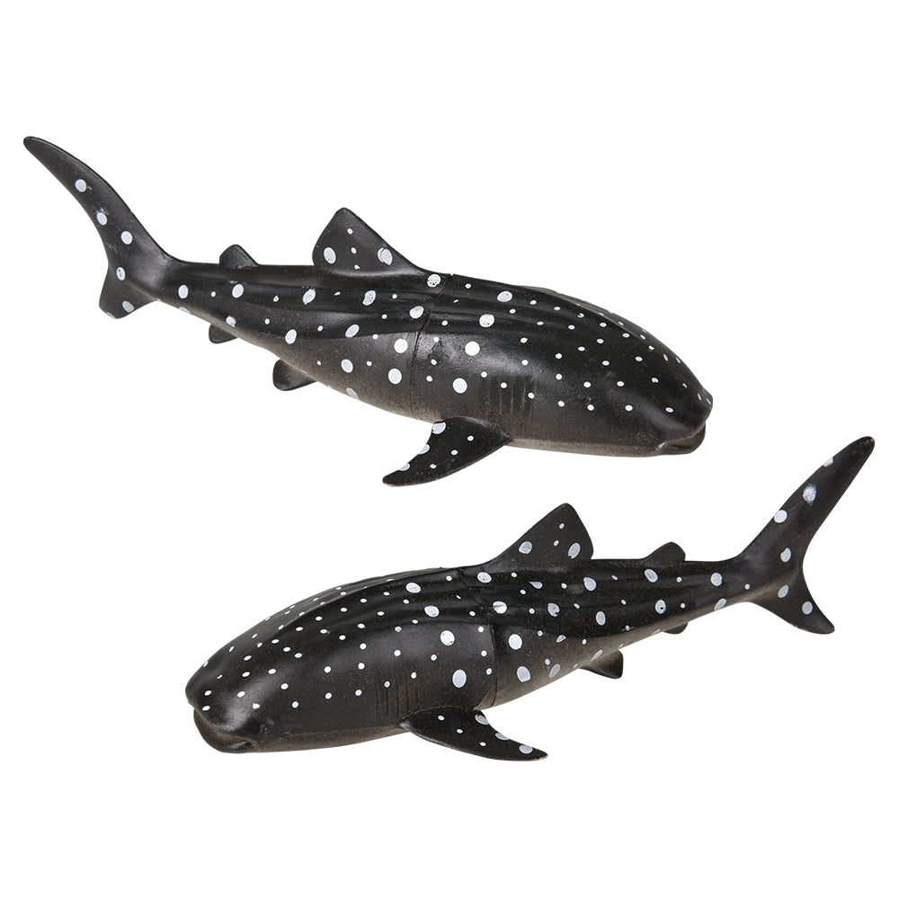 Whale Shark Research Set