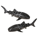 Whale Shark Research Set