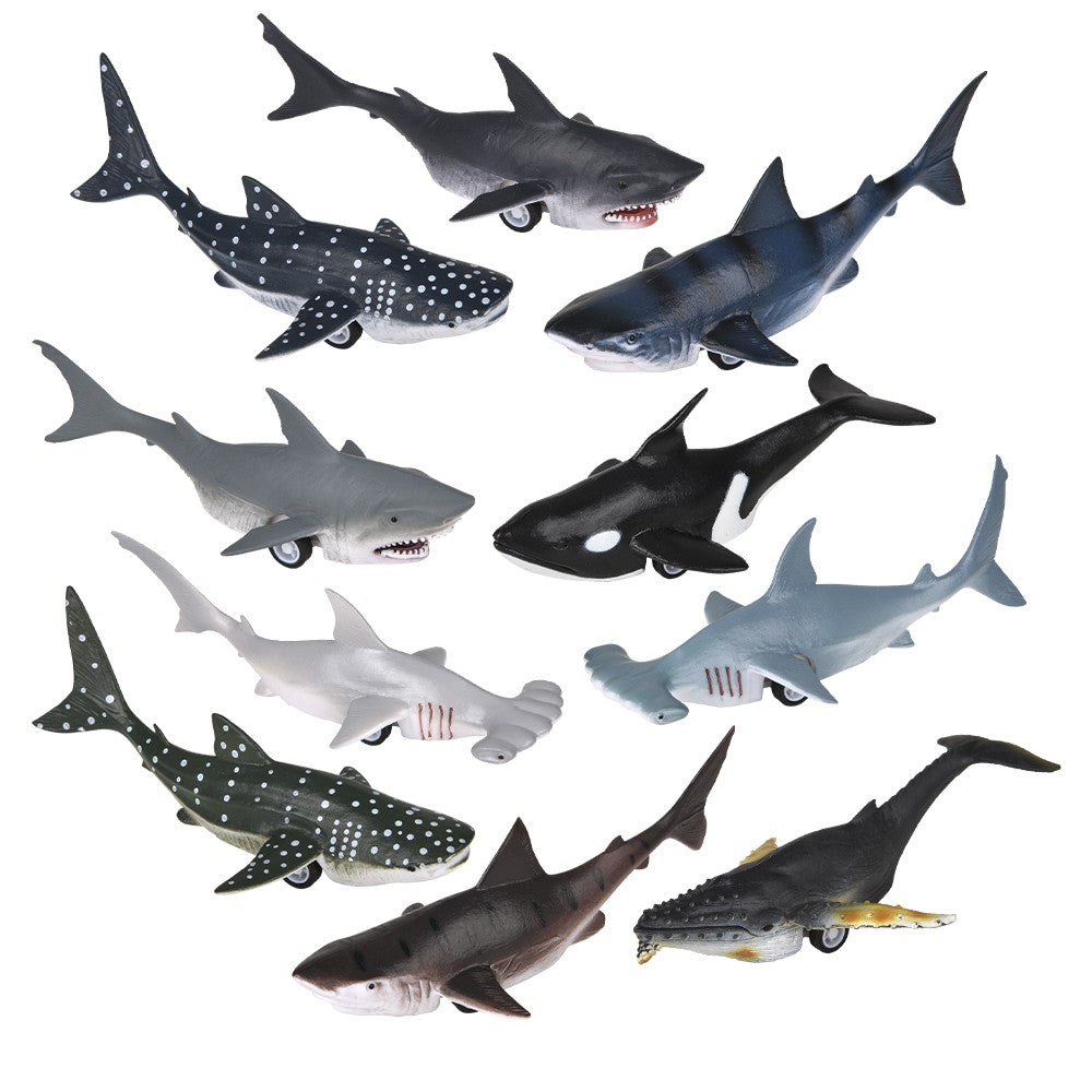 Pull Back Whale And Shark Assortment (1 DSP)