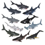 Pull Back Whale And Shark Assortment (1 DSP)