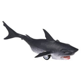 Pull Back Whale And Shark Assortment (1 DSP)