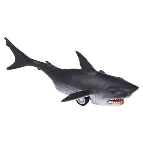 Pull Back Whale And Shark Assortment (1 DSP)