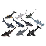 Pull Back Whale And Shark Assortment (1 DSP)